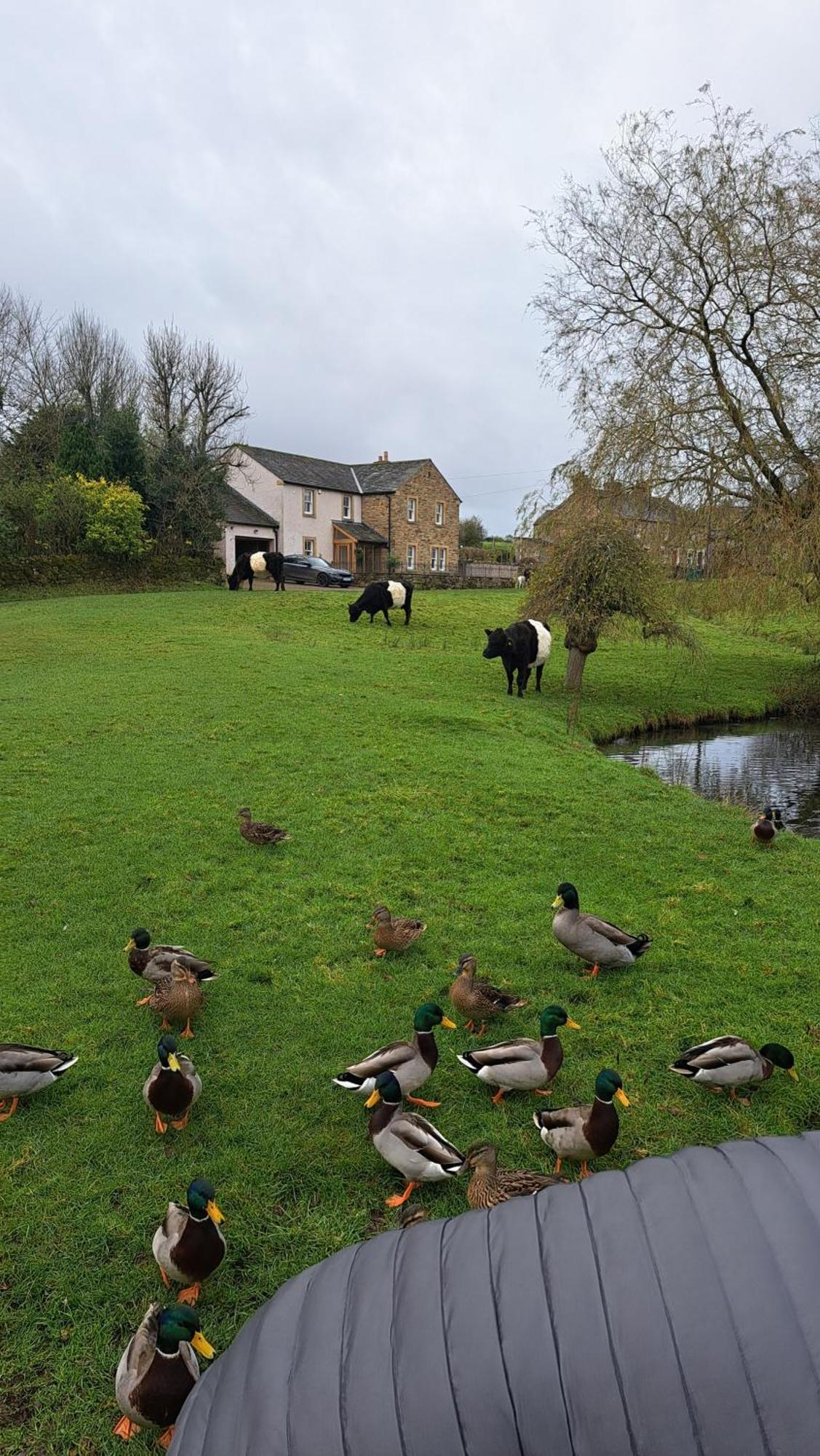 Church House Barn Lake District & Solway Coast With Solway Firth Views 锡勒斯 外观 照片